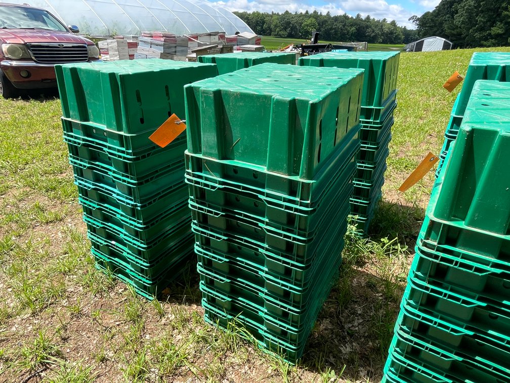 (8) Poly Vegetable Bins