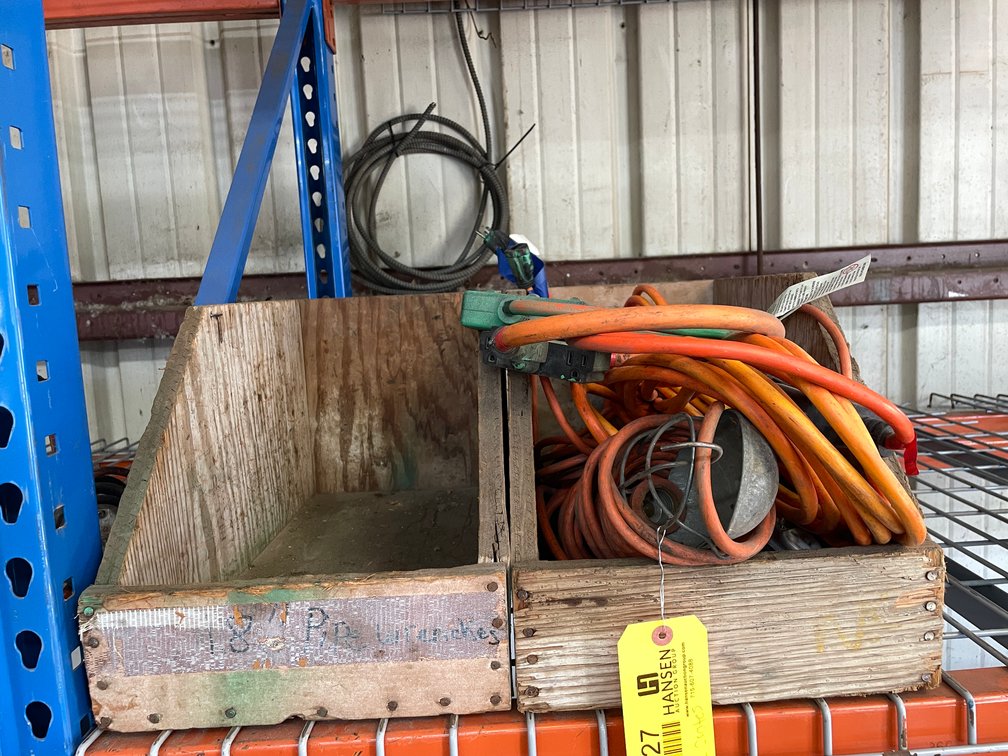Assorted Extension Cords and Trouble Light