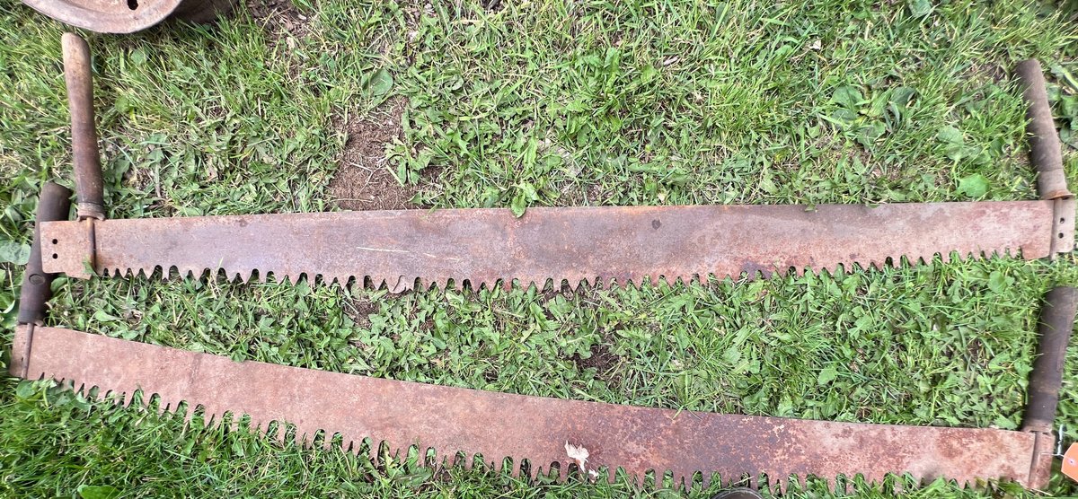 (2) 66" Two Man Saws