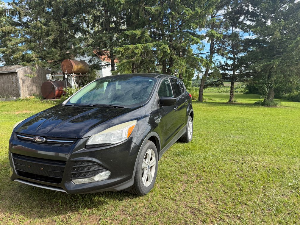 2014 Ford Escape SE Sport (Has WI Title) (Ridgeland, WI)