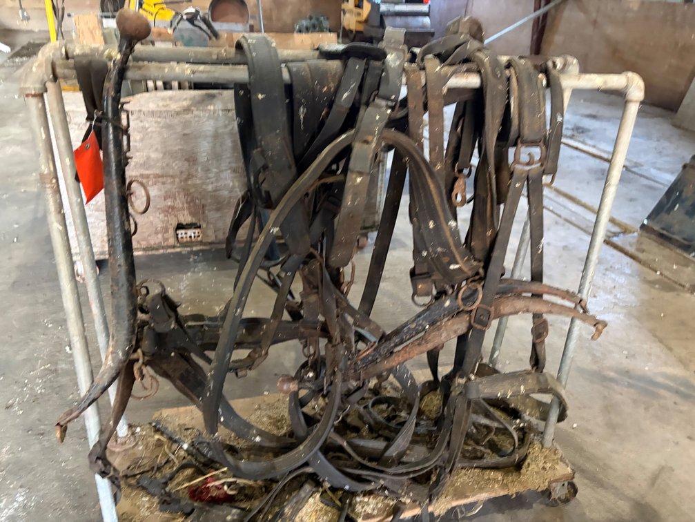 Single Draft Horse Harness