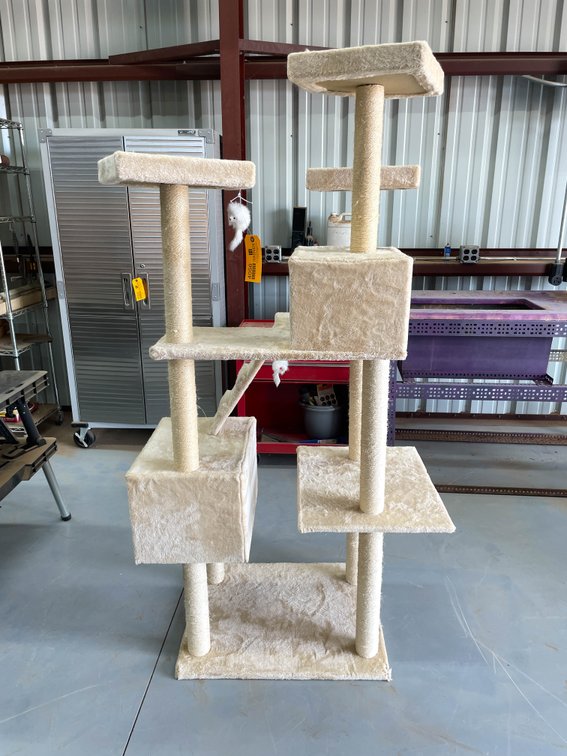 Cat Climbing Tower