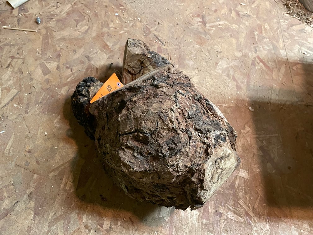 Lot of Burl Wood