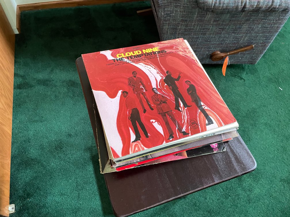 (17) Vinyl Records