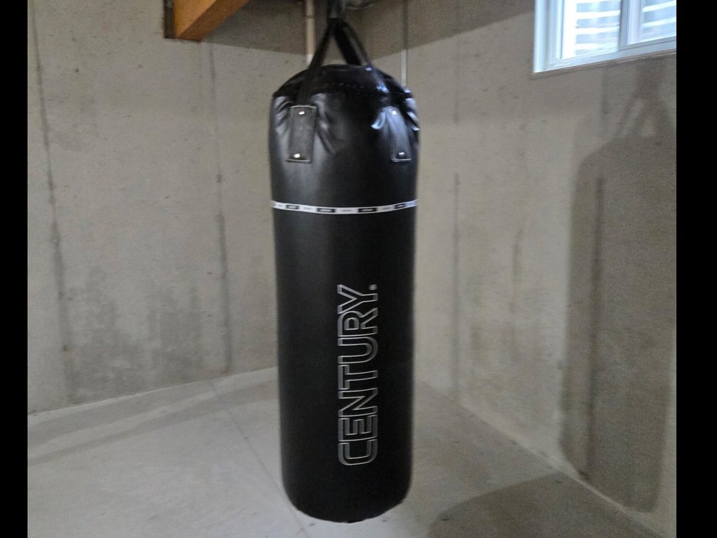 Century Punching Bag