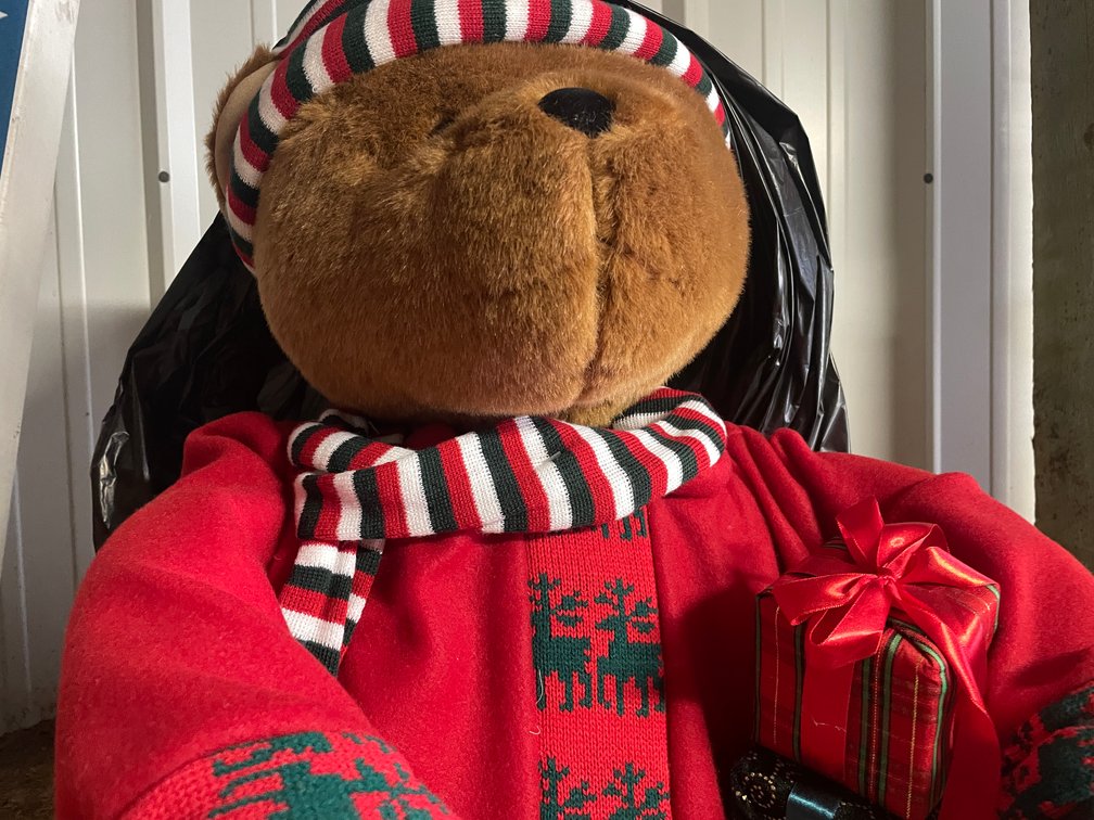 Motion Activated Christmas Bear