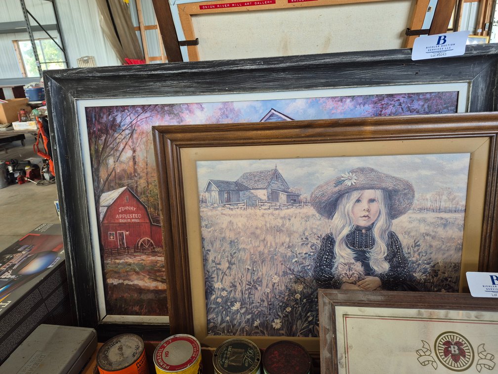 Framed Pictures