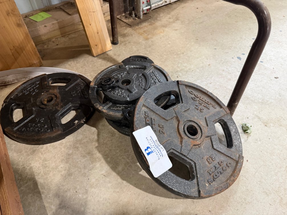 Golds Gym Weights