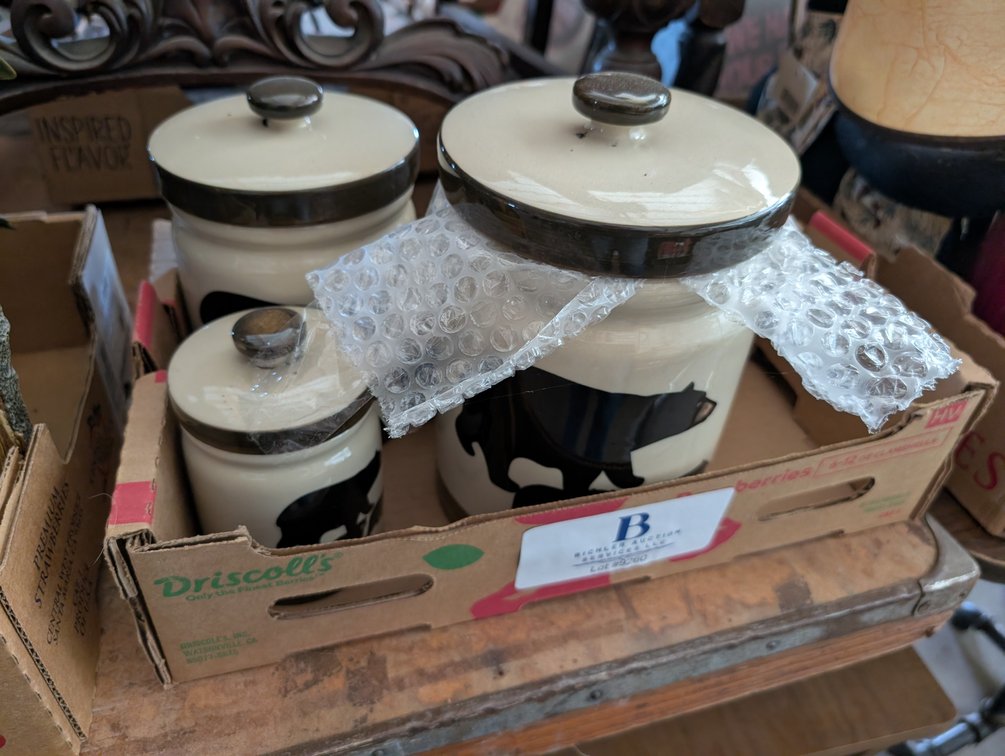 Black Bear Canisters