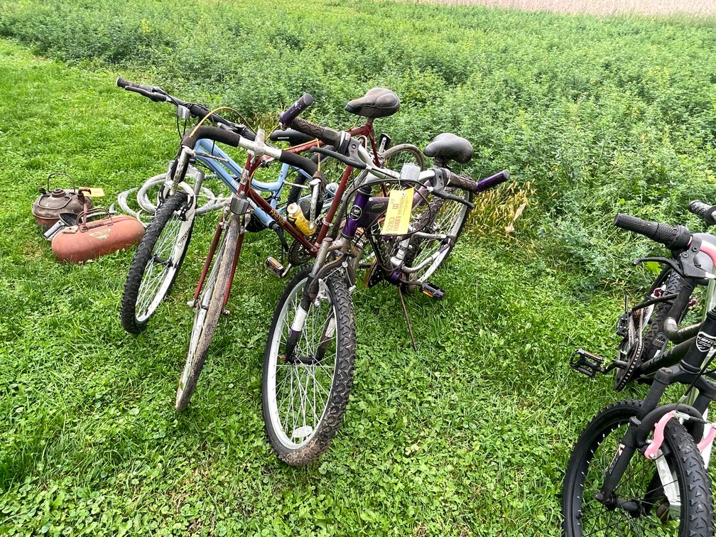 (3) Adult Bikes