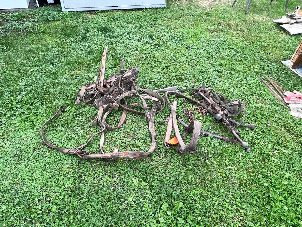 Driving Horse Items