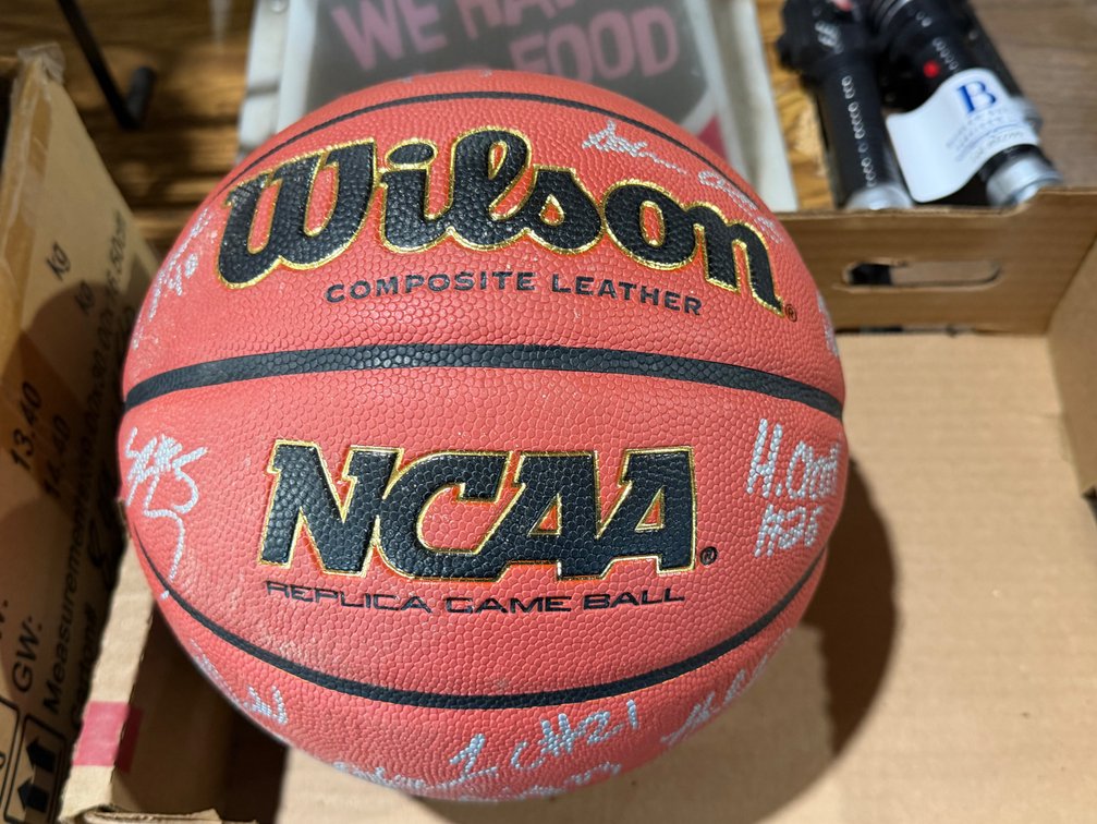 Wilson Basketball