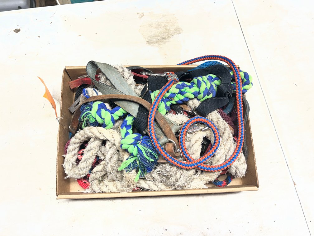 Miscellaneous Ropes, Collars, and Straps