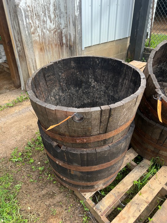 (2) Jack Daniels Whiskey Barrel Planters