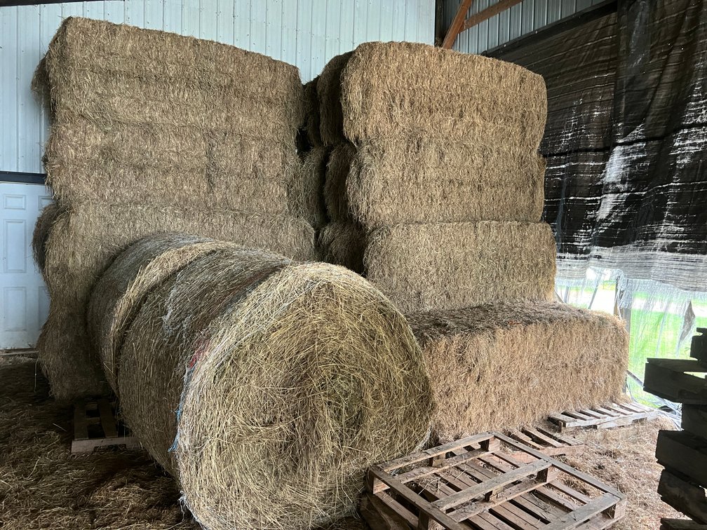 (17) 3x7 Big Square Bales and (2) 4x5 Round Bales