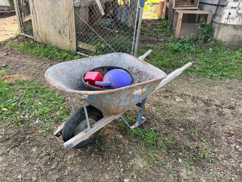 Wheelbarrow, Feed Supplies, and Jolly Ball