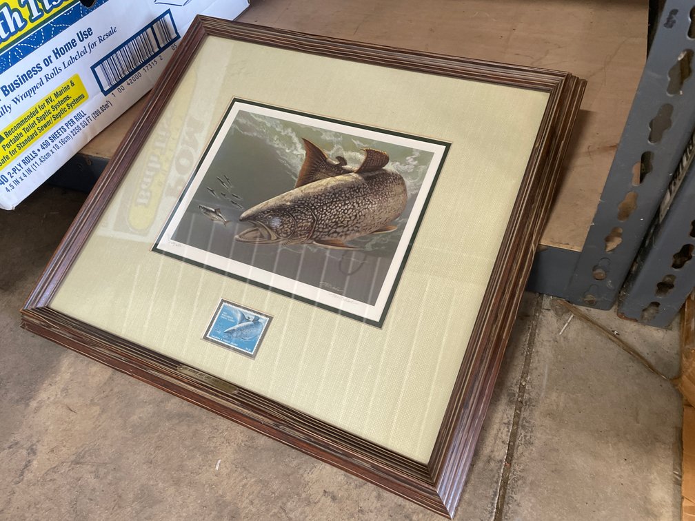 1983 Lake Trout Print