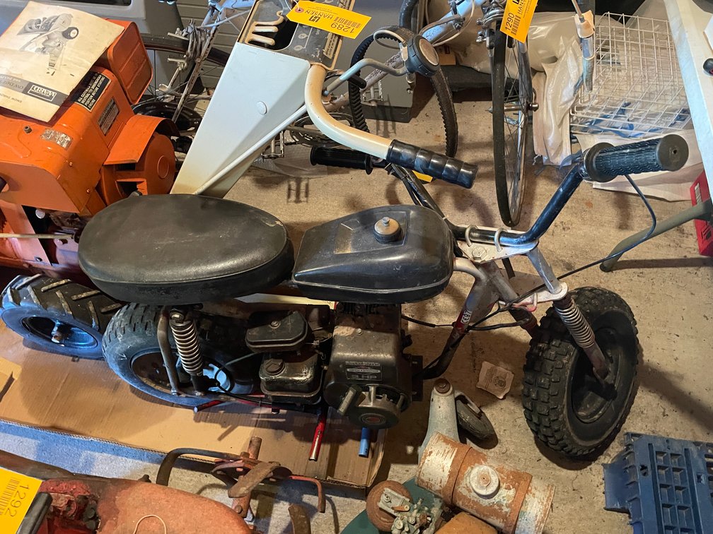 Mini Bike