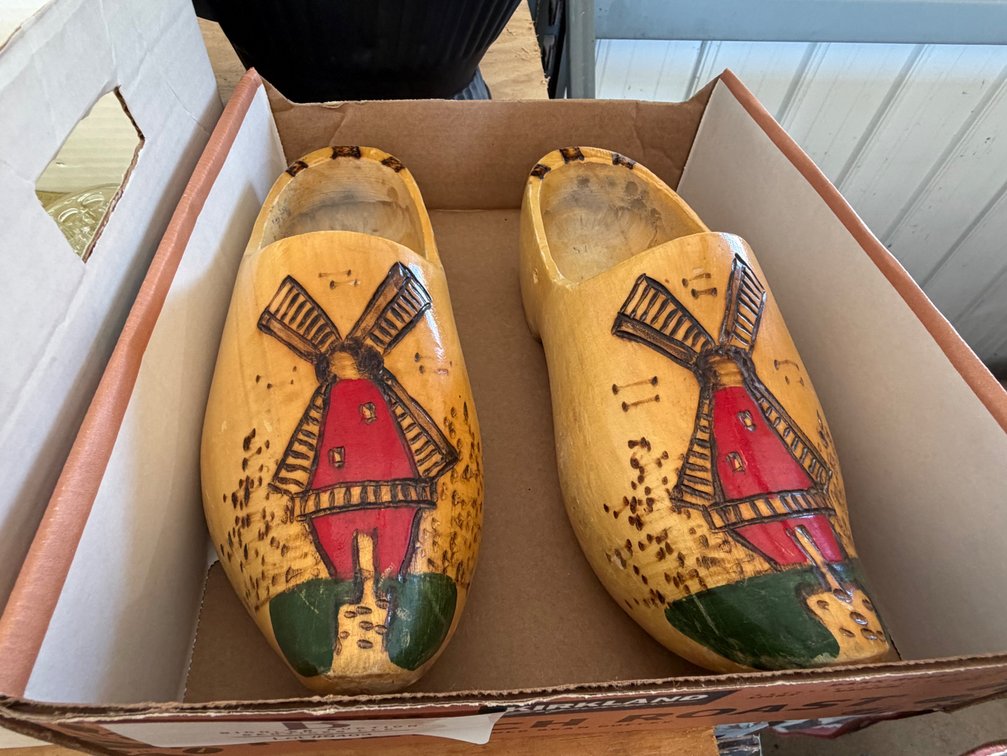 Hand Painted Wooden Shoes