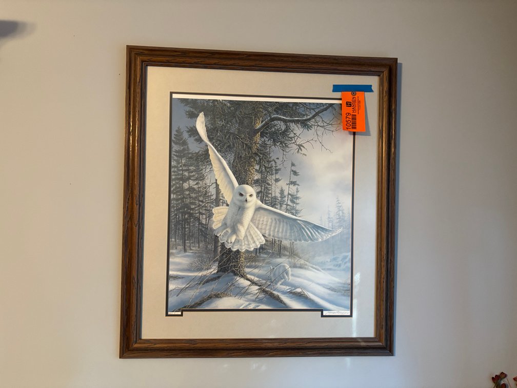 Signed Snow Owl Picture