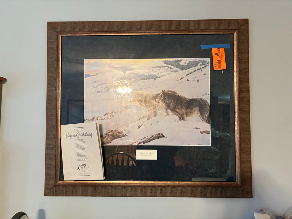 Large Framed Wolf Picture