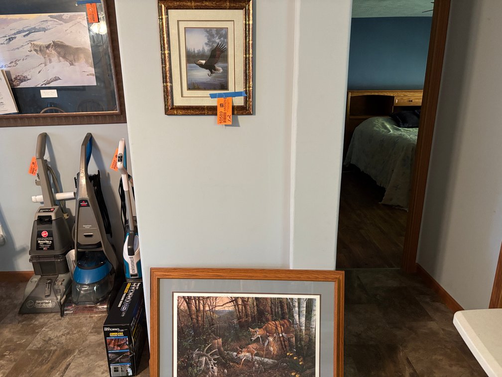 Framed Eagle Picture