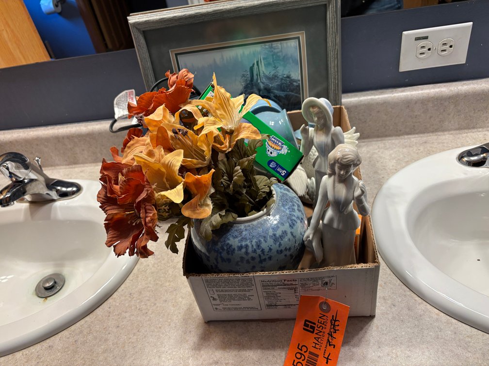 Framed Loon Picture