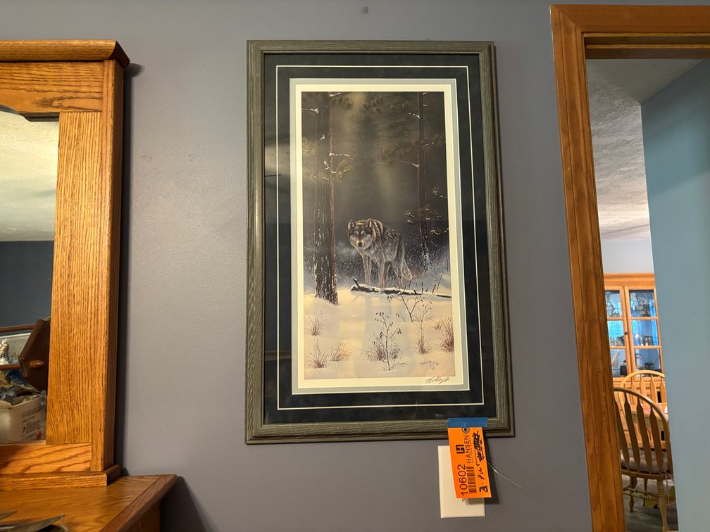 Framed Wolf Picture