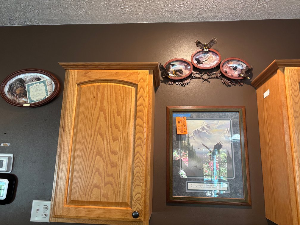 Framed Eagle Picture