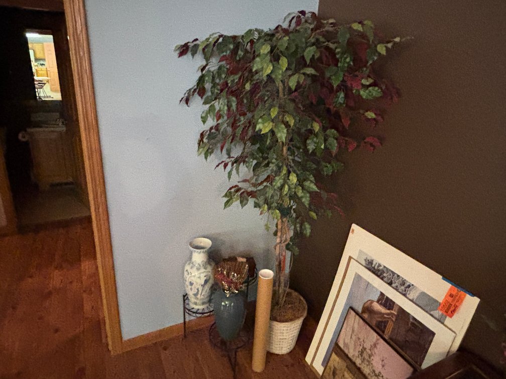 (2) Decorative Flower Vases