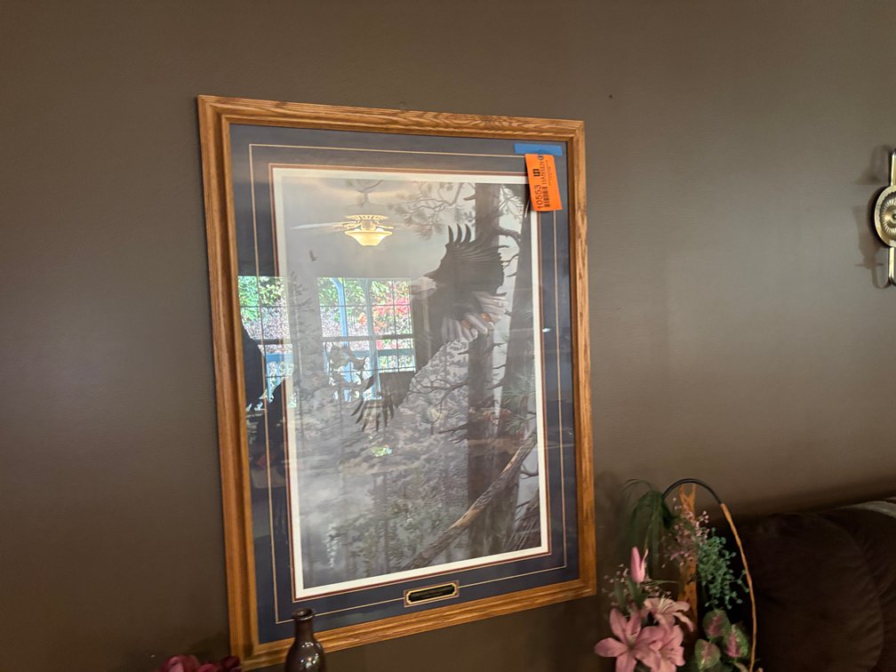 Framed Eagle Picture