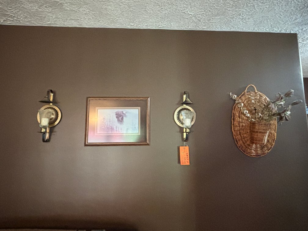 Framed Eagle Picture