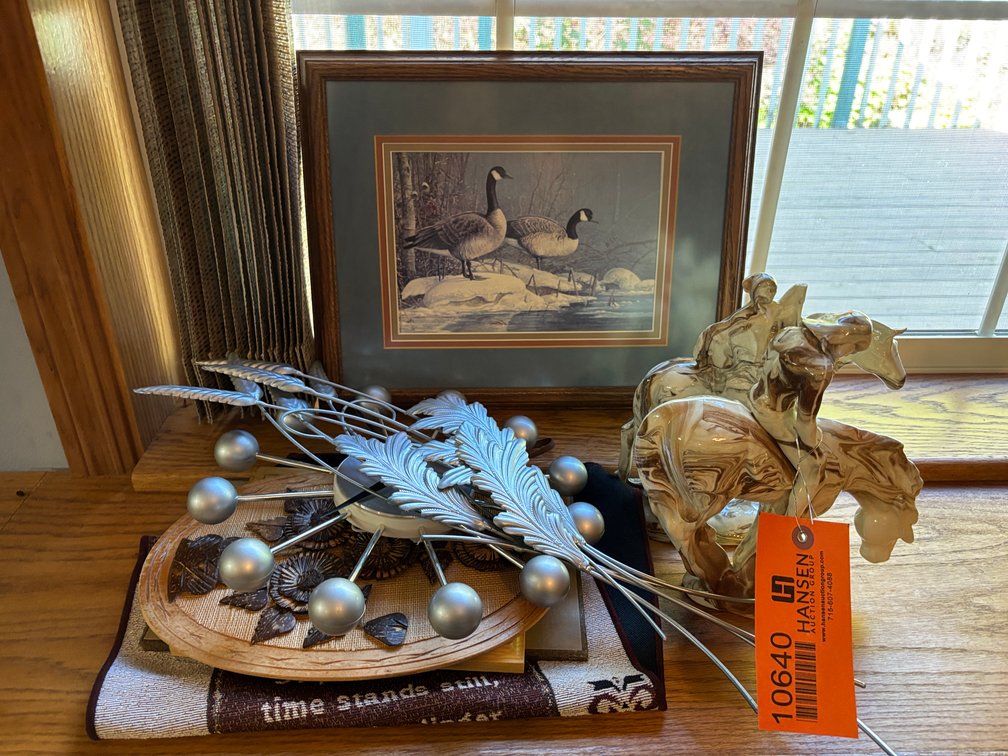 Framed Goose Picture