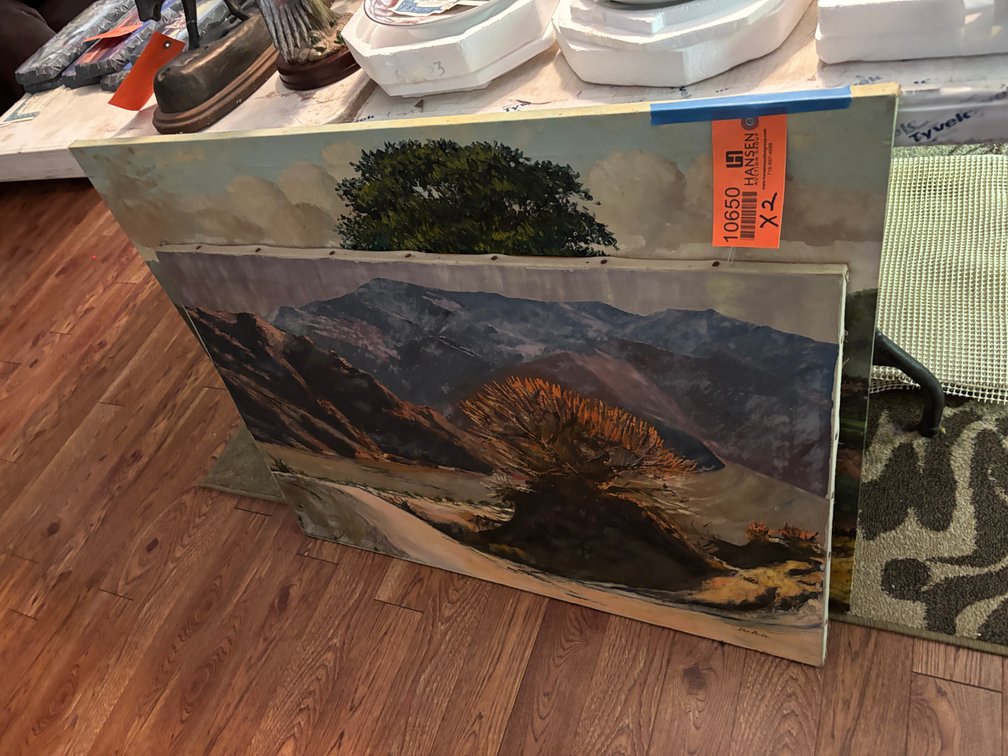 (2) Oil on Canvas Painting