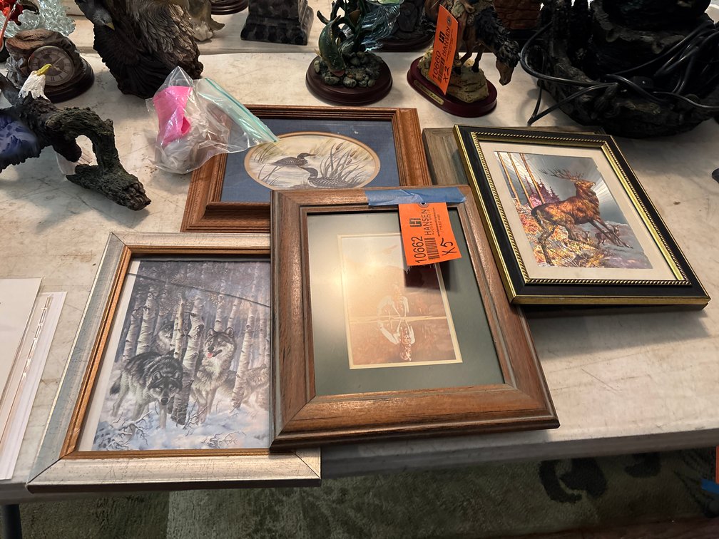 (5) Framed Pictures