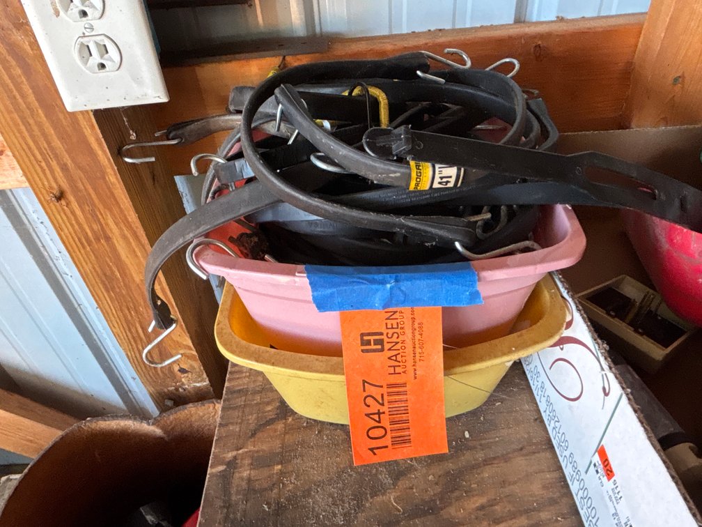 Collection of Bungee Cords
