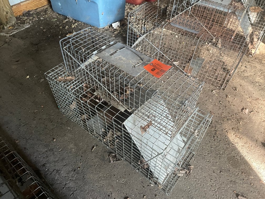 (2) Live Traps