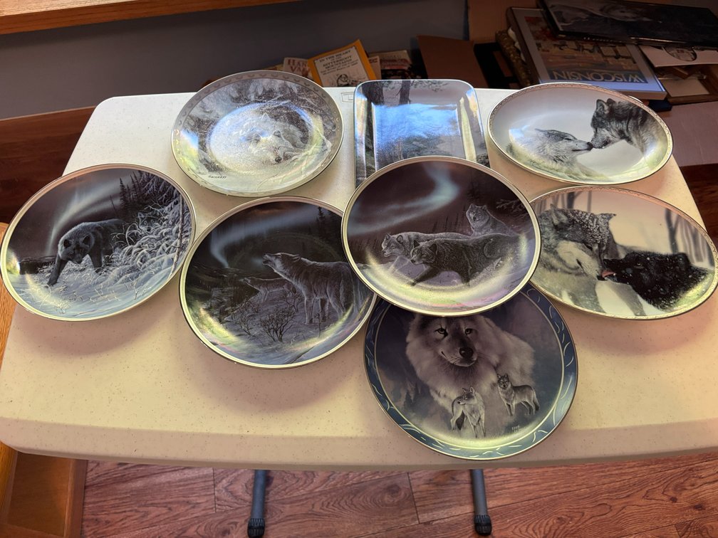 (8) Collector Plates
