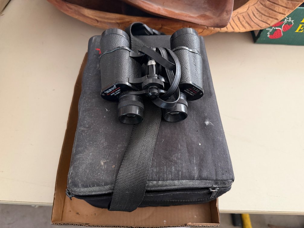 Binoculars and CD Collection