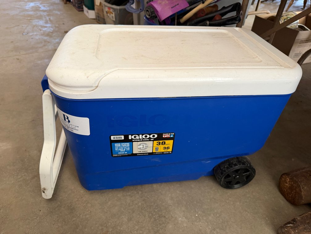 Igloo Cooler