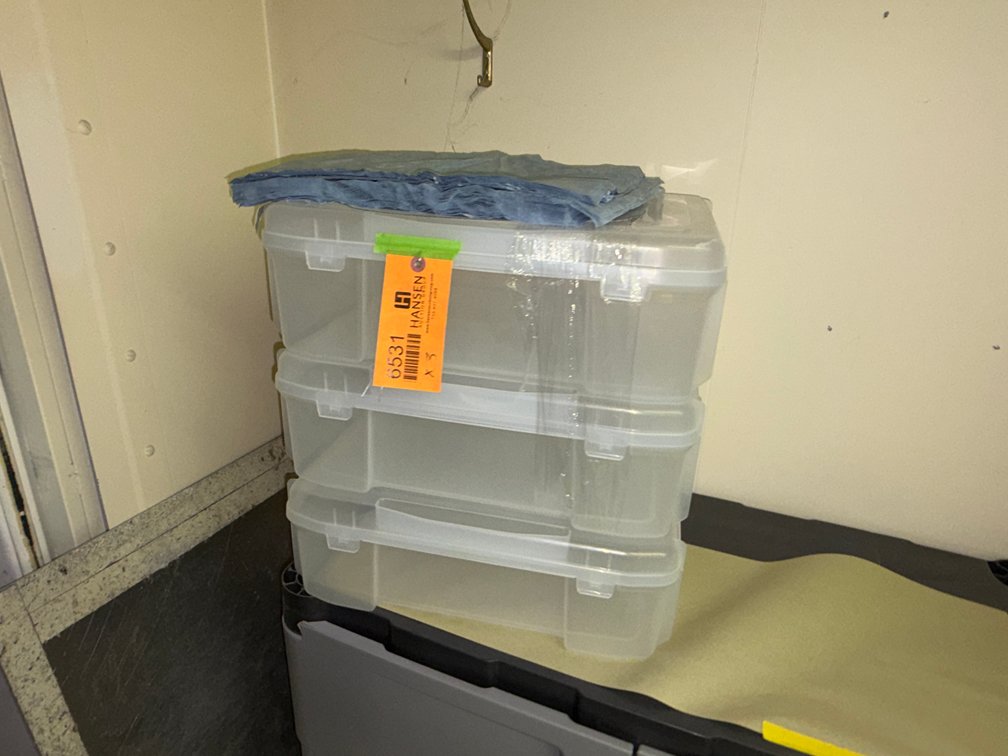(3) Poly Totes