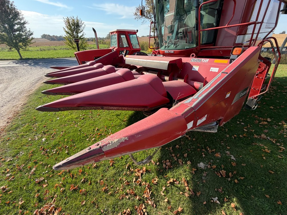 2008 Case IH 2606 Corn Head