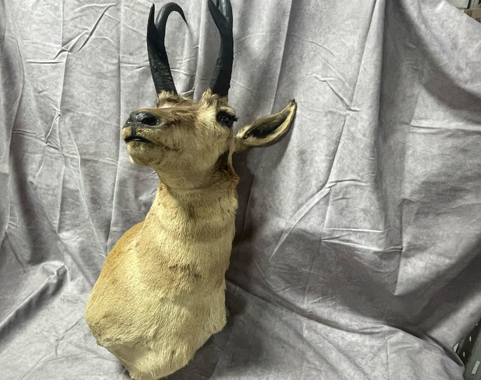 Antelope Mount (Neenah,WI)