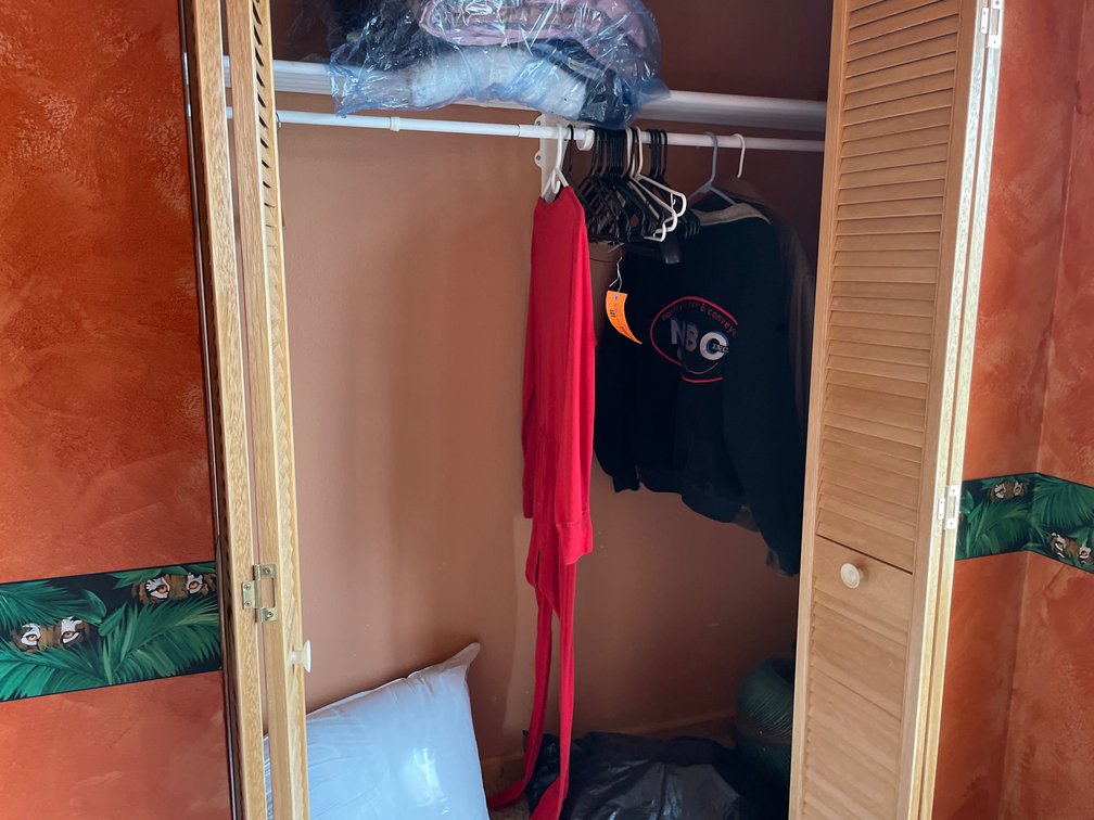 Closet Contents Including Jackets, Bedding, Table Lamp, and More