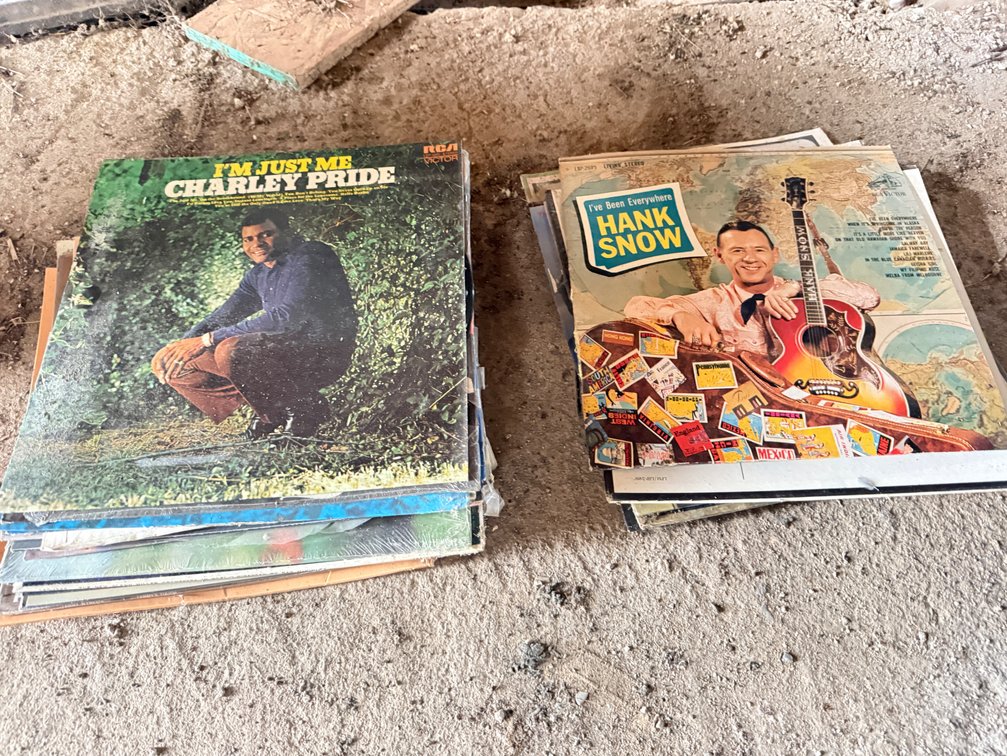 Vinyl LP Record Albums Including Charley Pride, Hank Snow, and More