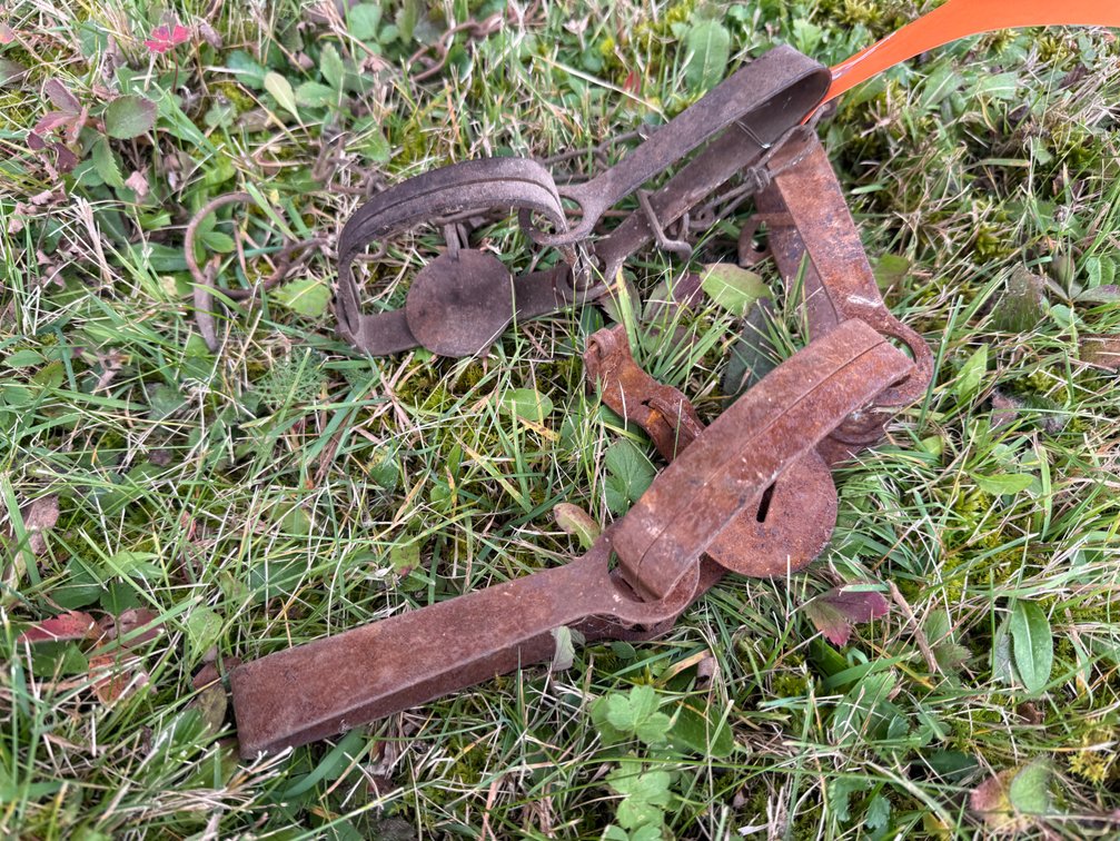 (2) Metal Foothold Animal Traps with Chains