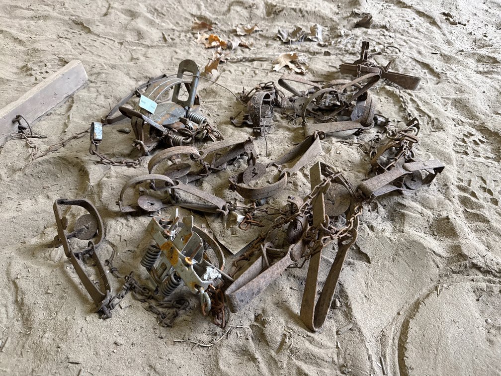 Coil Spring and Longspring Foothold Animal Traps and More