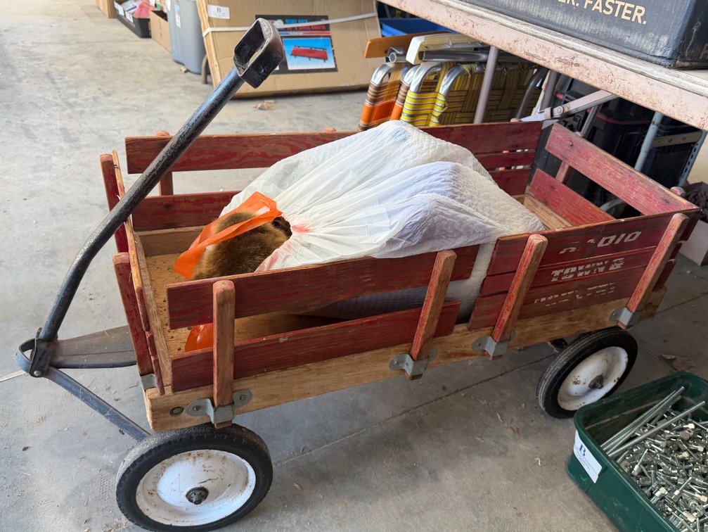Wagon