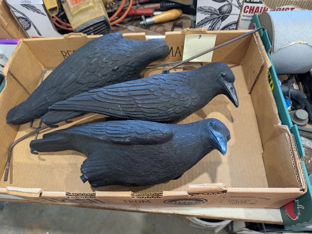 Crow Decoys