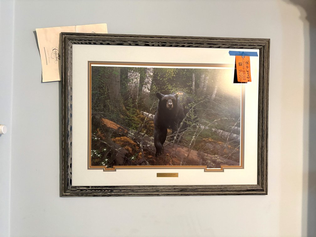 Framed Bear Picture